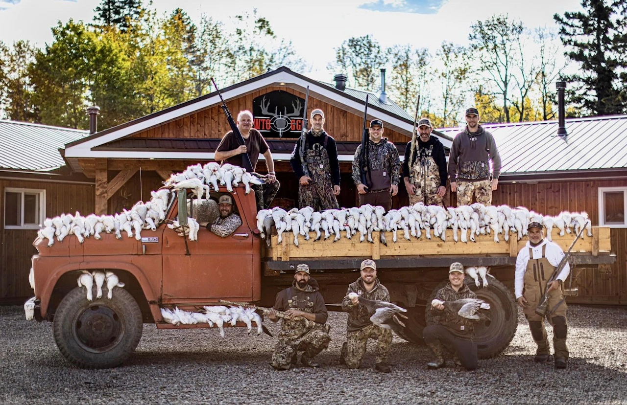 OISEAUX MIGRATEURS