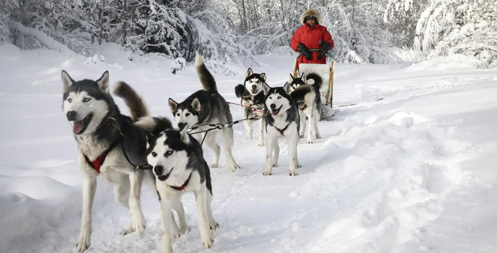 SOGGIORNO INVERNALE MULTIATTIVITÀ