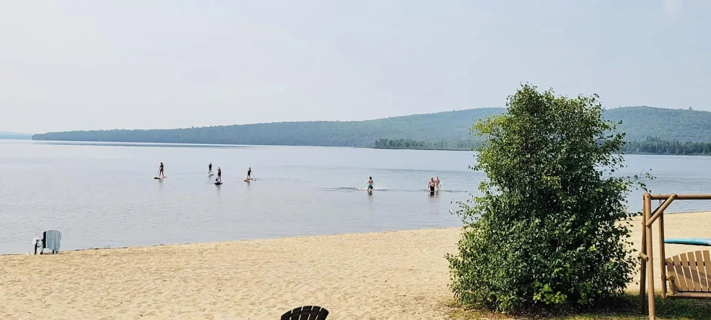 blog image 3
