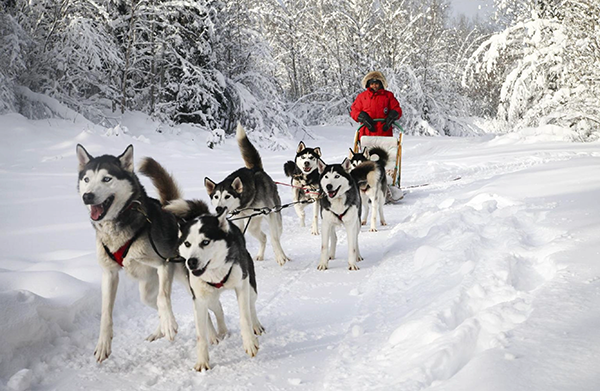Aventure nordique au Canada : vivre l’hiver au cœur des pourvoiries