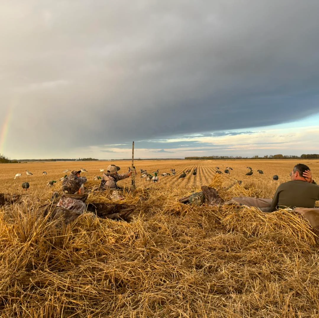 Zugvogeljagd in Saskatchewan — 1