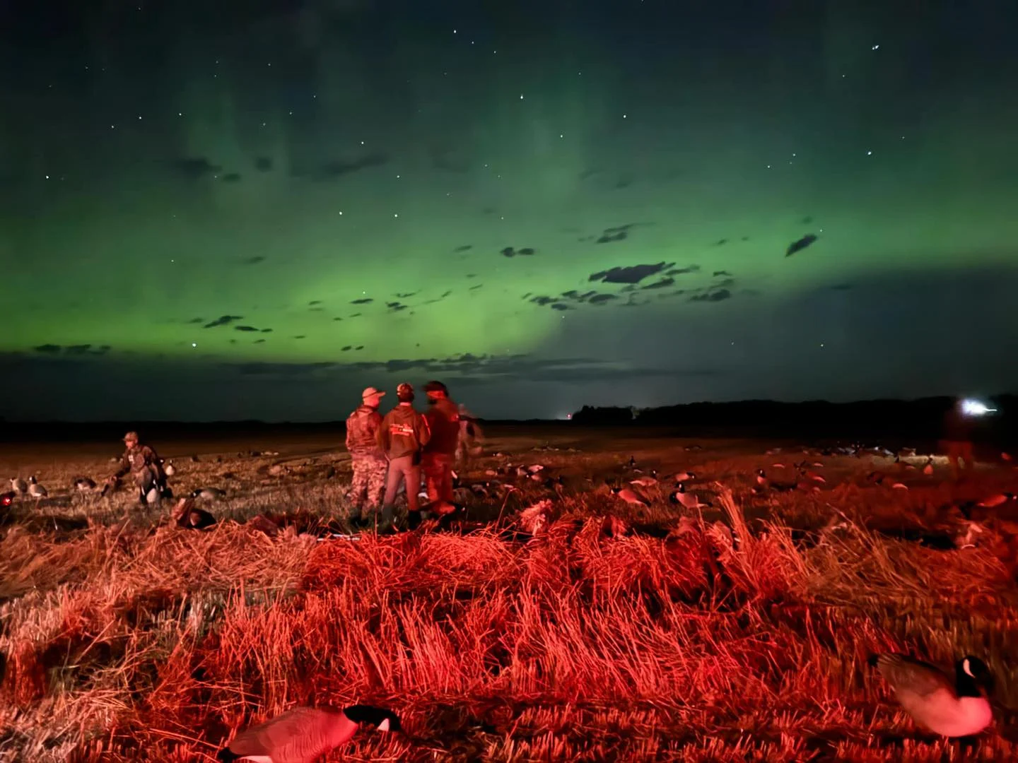 Zugvogeljagd in Saskatchewan — 14