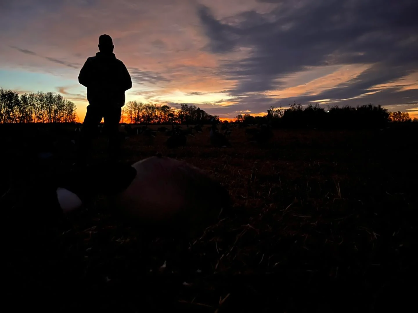 Zugvogeljagd in Saskatchewan — 4