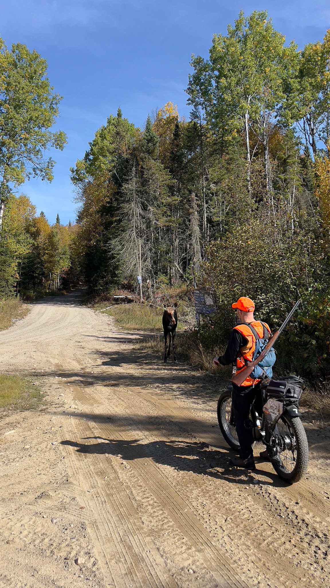 Perdrixjagd in Québec bei Notawissi — 5