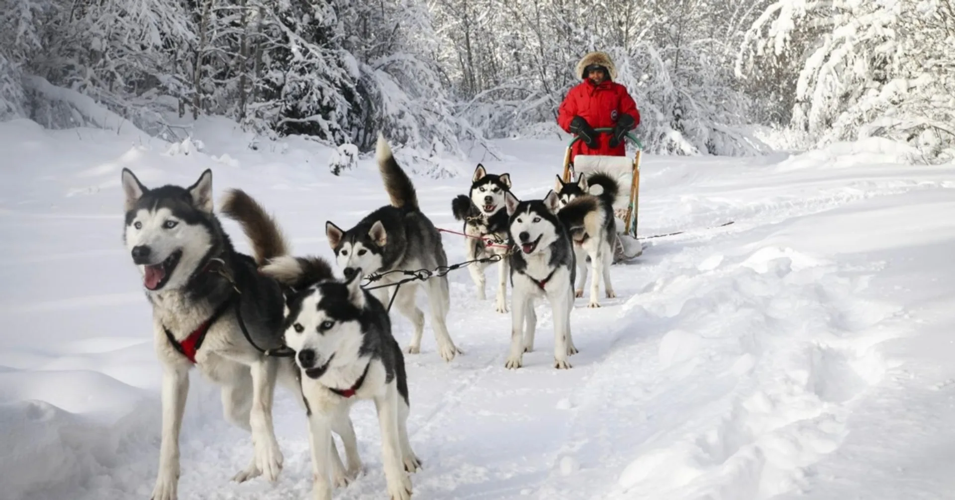 Raid itinerante ou estadia com base fixa: que fórmula de inverno escolher no Canadá