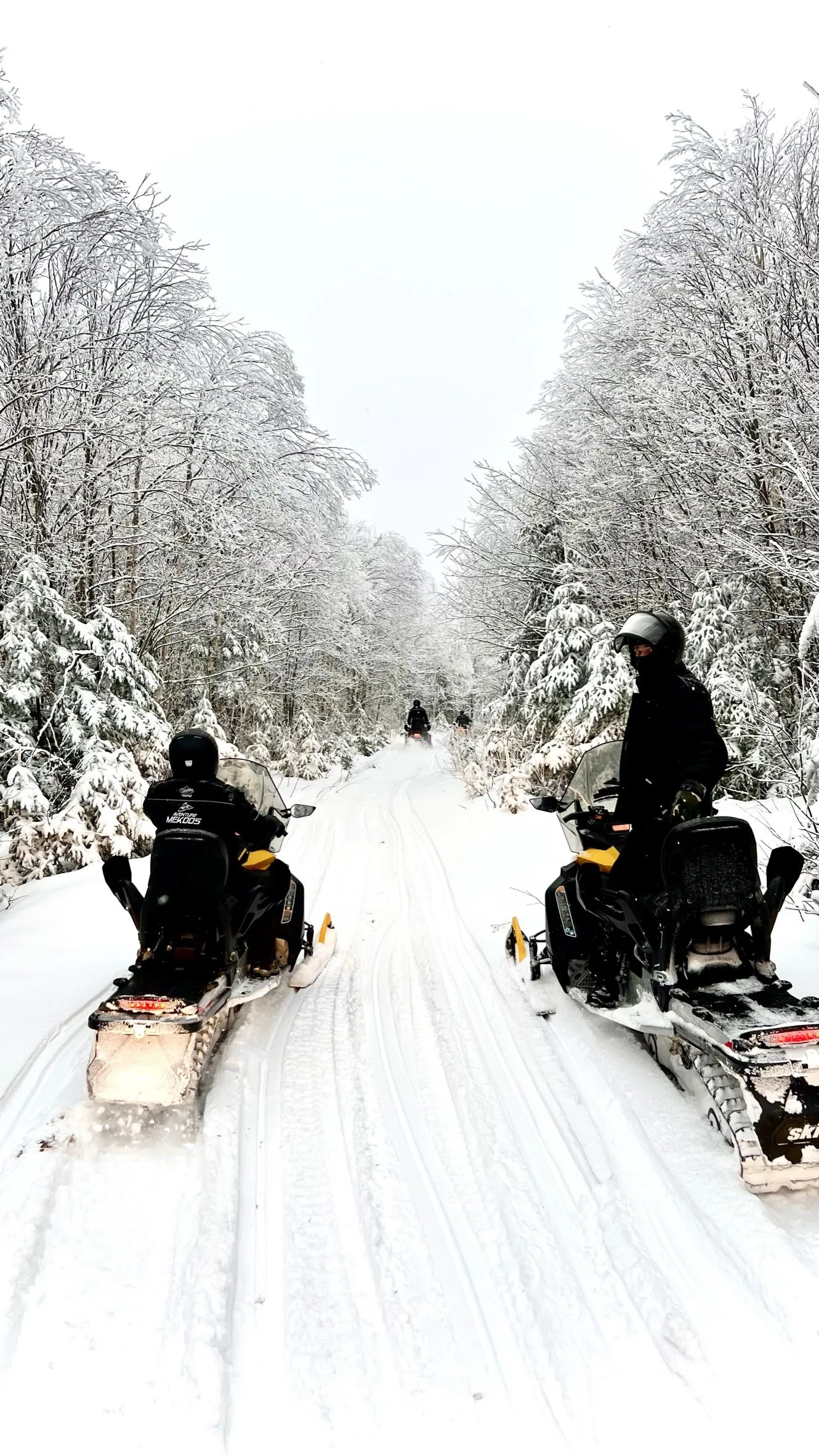 Convoy de motonieves en un bosque escarchado de Québec