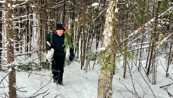 Snaring snowshoe hare in Quebec: five days deep in the Hautes-Laurentides forest